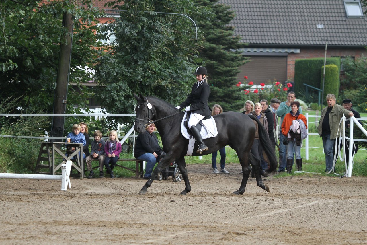 Bild 82 - WBO-Turnier am 18.9.11